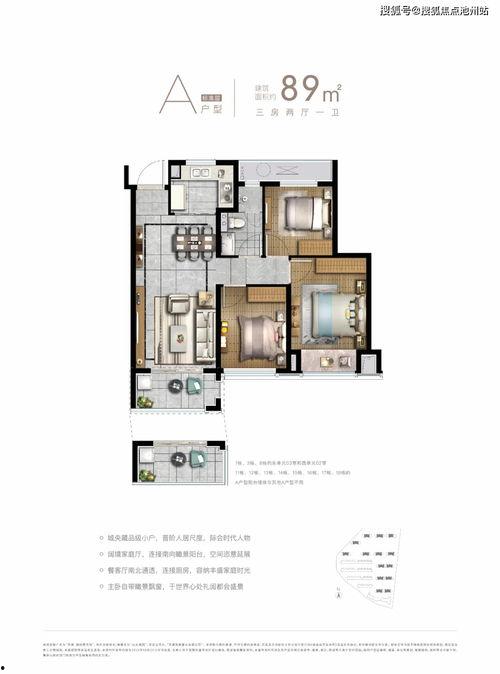 最新爆料程女士塌房,娱乐圈新风暴来袭，真相令人震惊